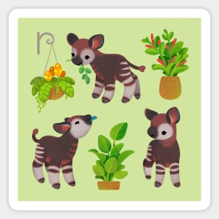 Okapi Sticker